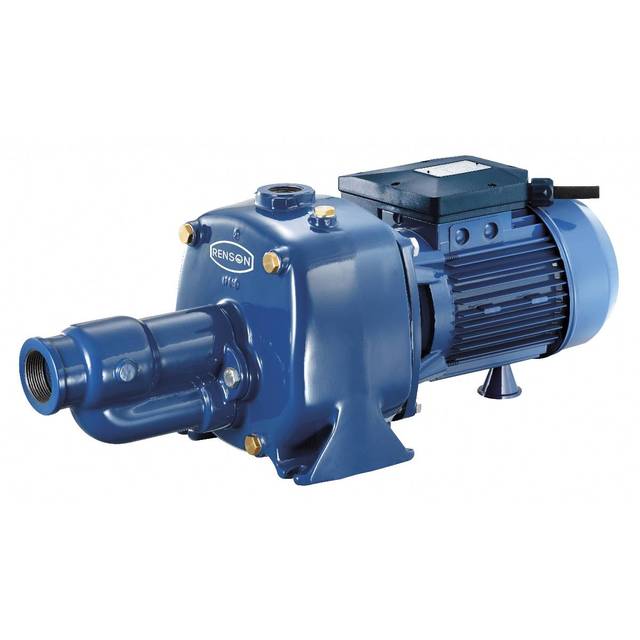 Pompe A EAU de Surface Bicellulaire Fonte Triphasee 380V 2,2KW référence fournisseur REN825217